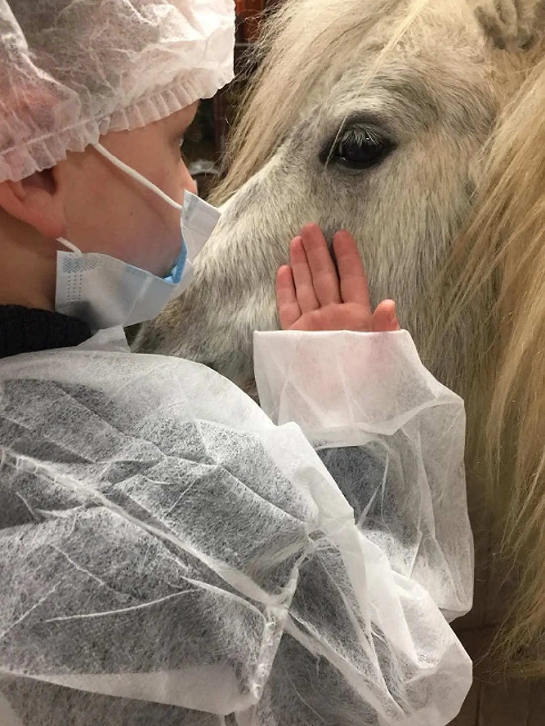 La zoothérapie est une pratique qui consiste à mettre en contact des patients avec des animaux 